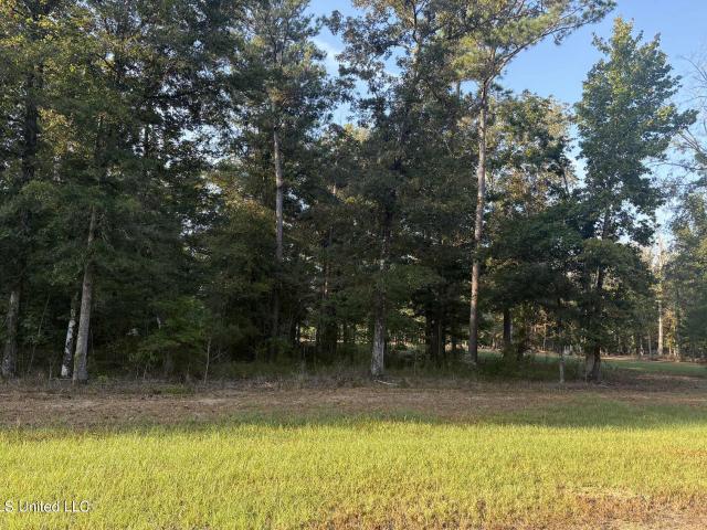 Land for sale in Forest, Mississippi