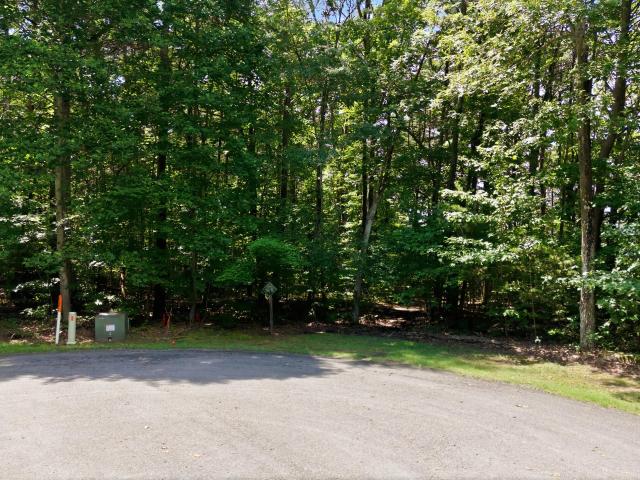 Land for sale in Georgia