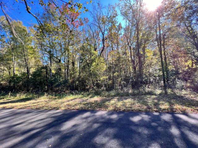 Land for sale in Ridgeville, South Carolina