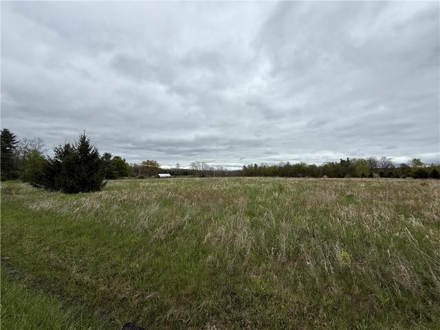 Land for sale in Newfield, New York