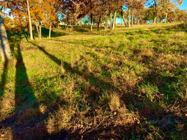 Land for sale in Tennessee