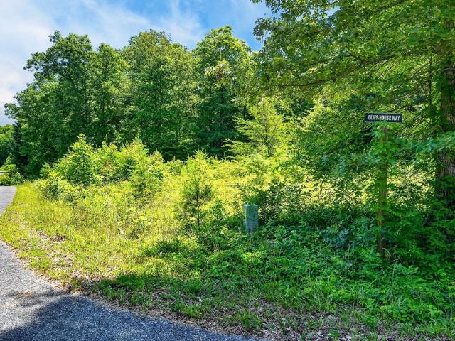 Land for sale in Tennessee