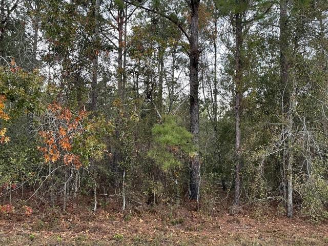 Land for sale in Twin City, Georgia