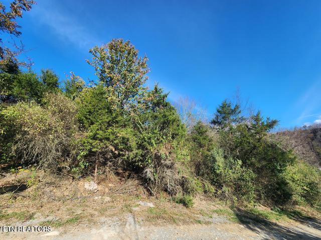 Land for sale in Virginia