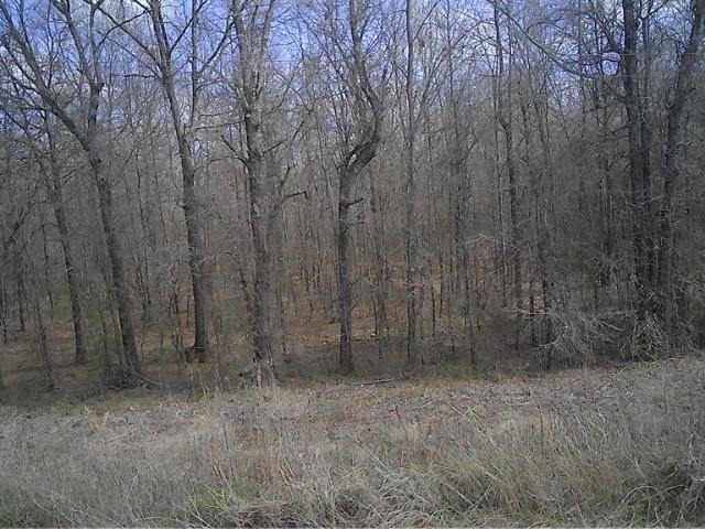 Land for sale in Idabel, Oklahoma