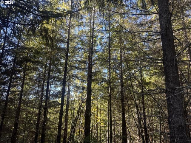 Land for sale in North Bend, Coos County