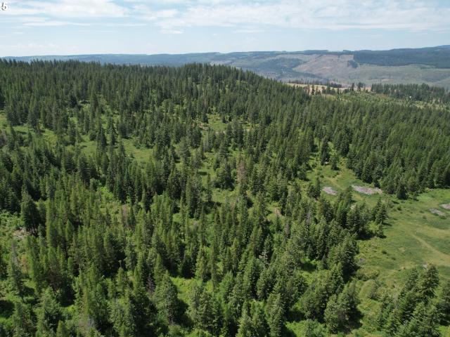 Land for sale in Wallowa, Wallowa County