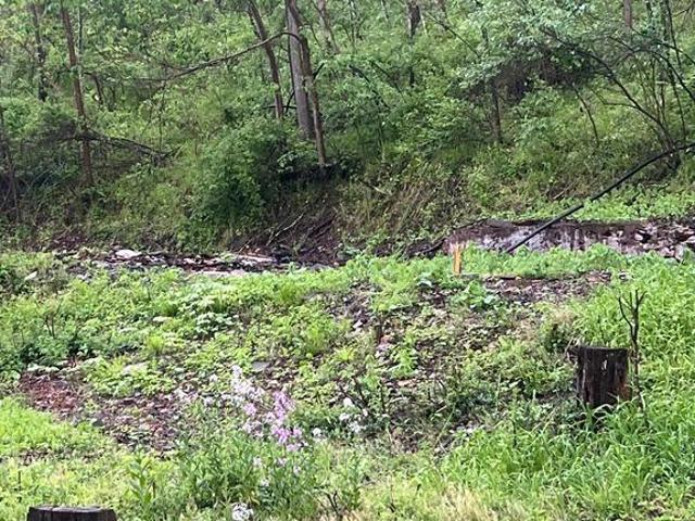 Land for sale in Little Orleans, Maryland