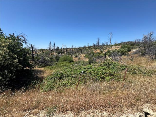 Land for sale in Butte, California