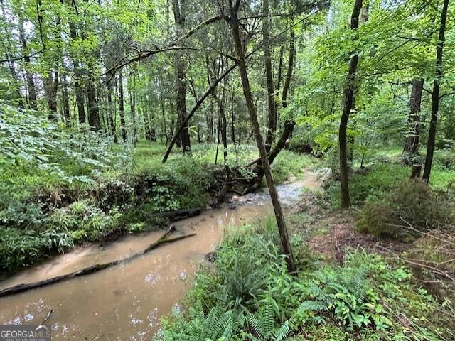Land for sale in Crawfordville, Georgia