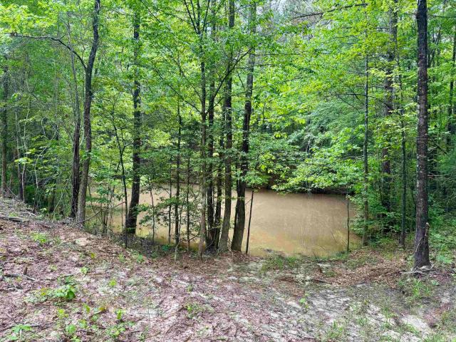 Property for sale in Tennessee