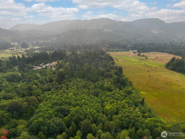 Land for sale in Maple Falls, Whatcom County