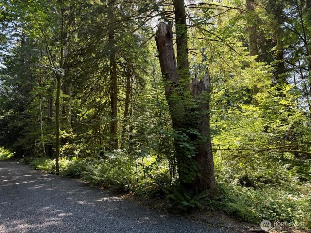 Land for sale in Deming, Washington