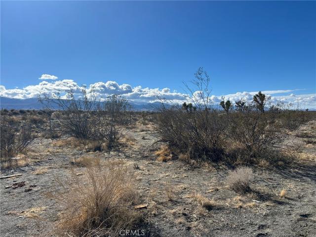 Land for sale in Pinon Hills, California