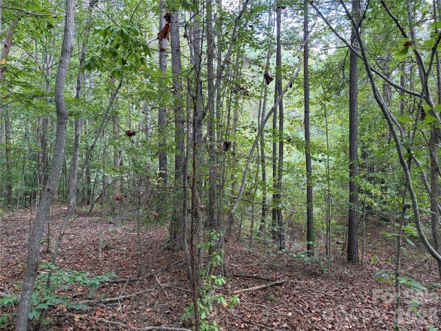 Land for sale in Morganton, Burke County