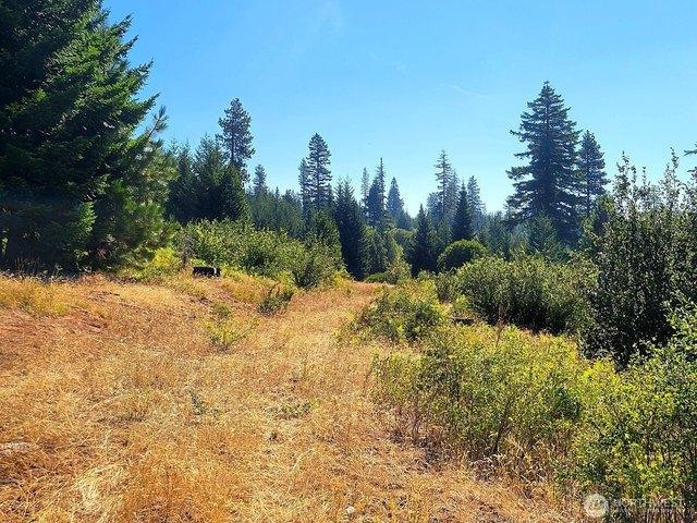 Land for sale in Goldendale, Klickitat County
