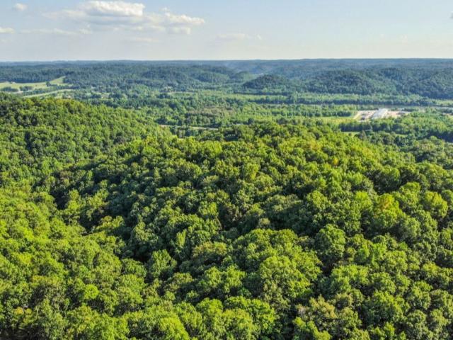 Land for sale in Tennessee