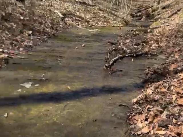Land for sale in Tennessee