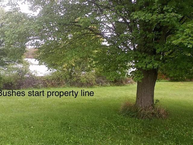 Land for sale in Coleman, Michigan