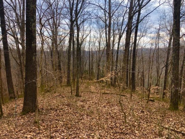 Land for sale in Tennessee