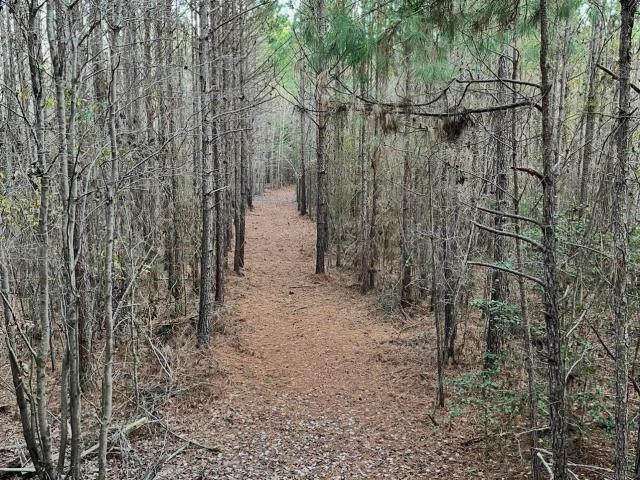 Land for sale in Laurens, South Carolina