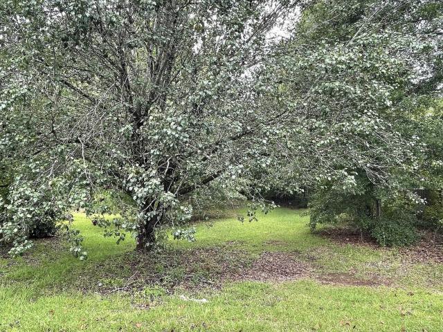 Land for sale in Barnesville, Georgia