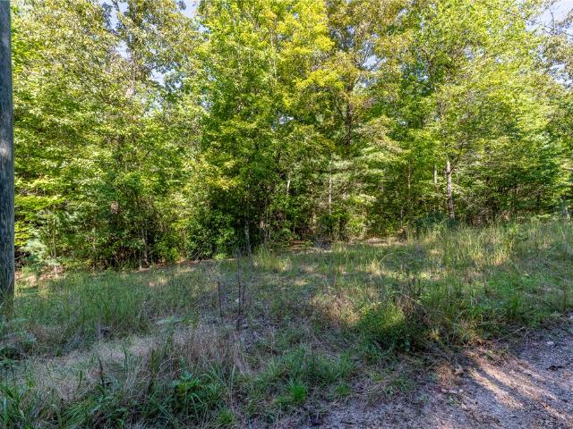 Land for sale in Mountain Rest, Oconee County