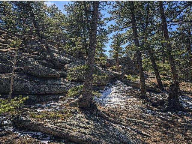 Land for sale in Red Feather Lakes, Colorado