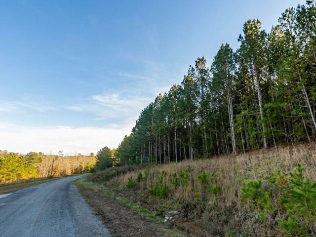 Land for sale in Double Springs, Winston County