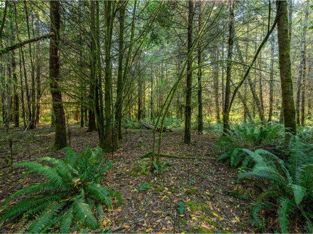 Land for sale in Oregonia
