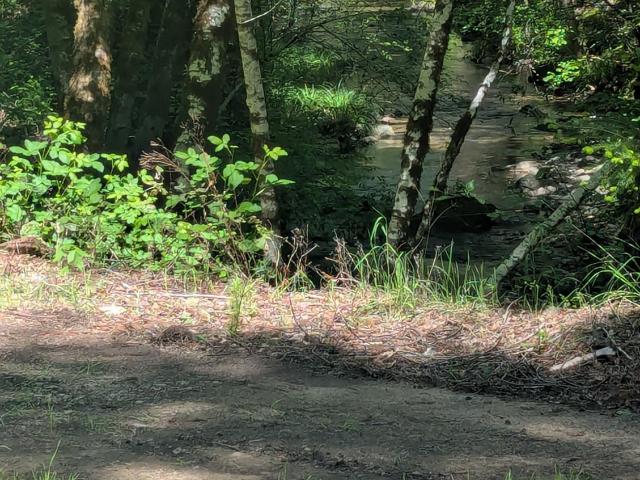Land for sale in Geyserville, California