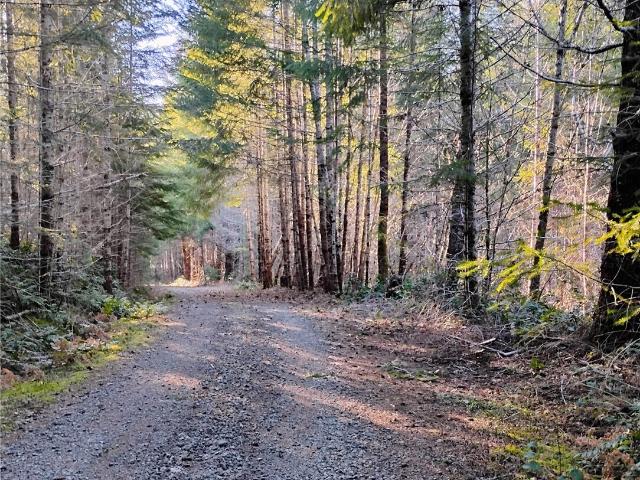 Land for sale in Packwood, Washington