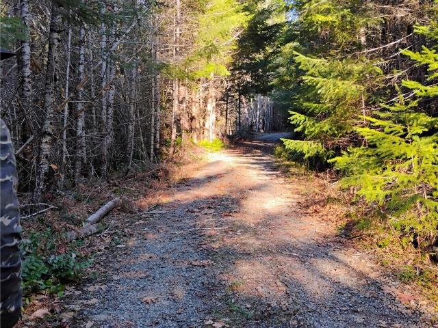 Land for sale in Packwood, Washington
