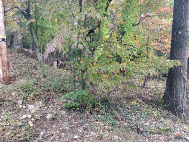 Land for sale in Rouzerville, Pennsylvania