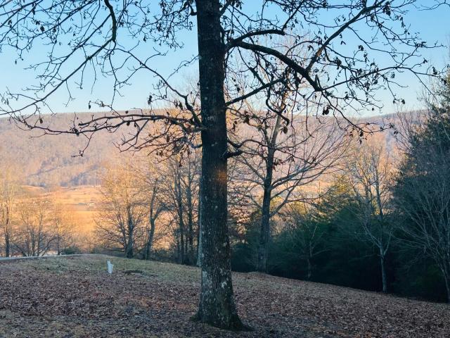 Land for sale in Tennessee