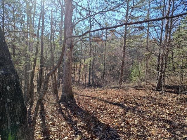 Land for sale in Tennessee