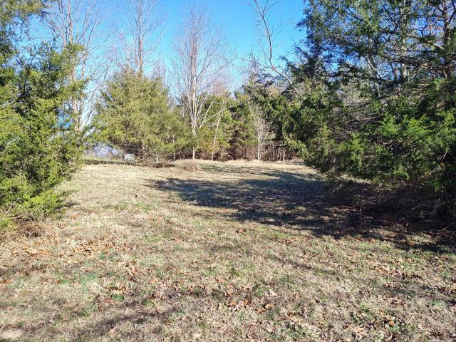 Land for sale in Tennessee