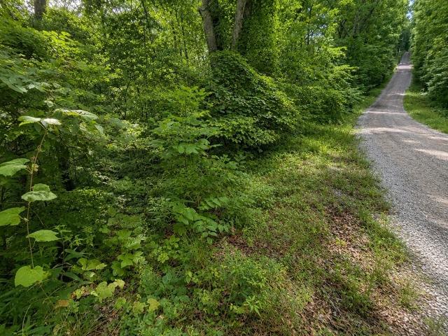 Land for sale in Tennessee