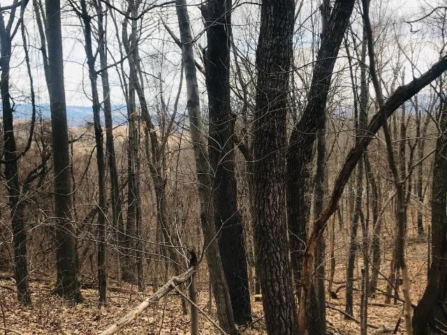 Property for sale in Virginia