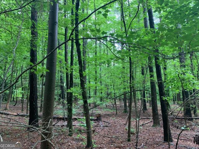 Commercial for sale in Douglasville Commercial for sale in Douglasville