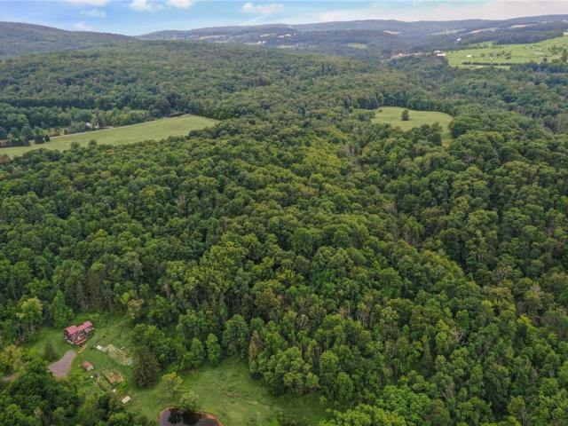 Land for sale in Newfield, New York