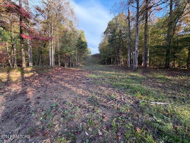 Land for sale in Little White Oak, East Tennessee