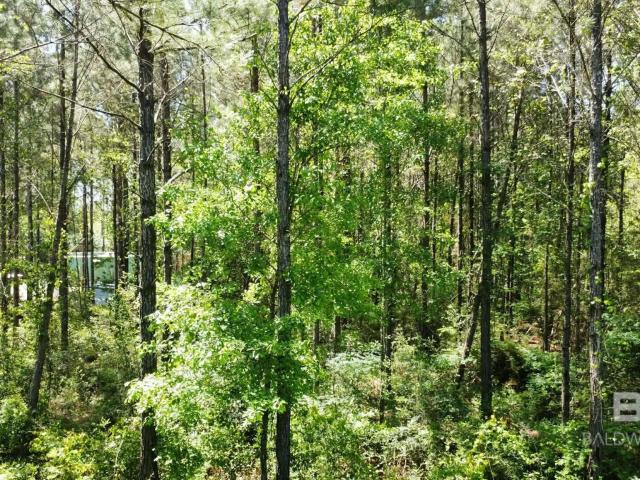 Land for sale in Seminole, Alabama