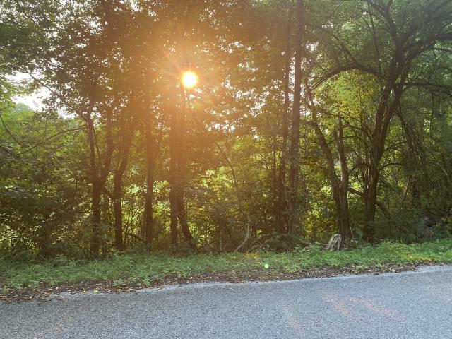 Land for sale in Tennessee