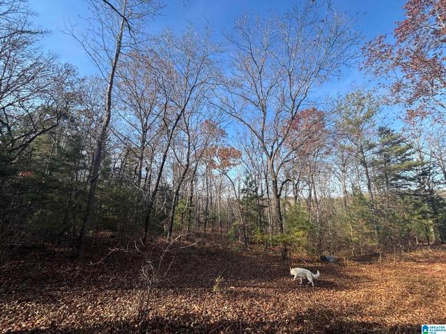 Land for sale in Talladega, Talladega County