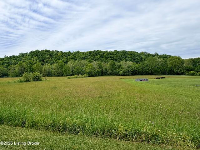 Land for sale in Trimble, Kentucky