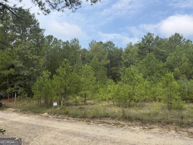 Land for sale in Monticello, Georgia