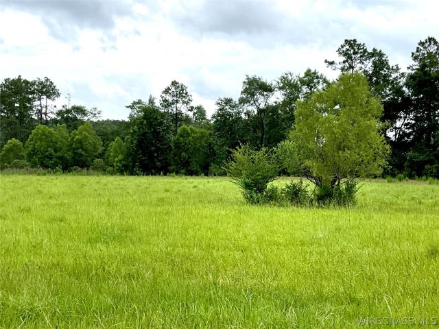 Land for sale in Florala, Alabama