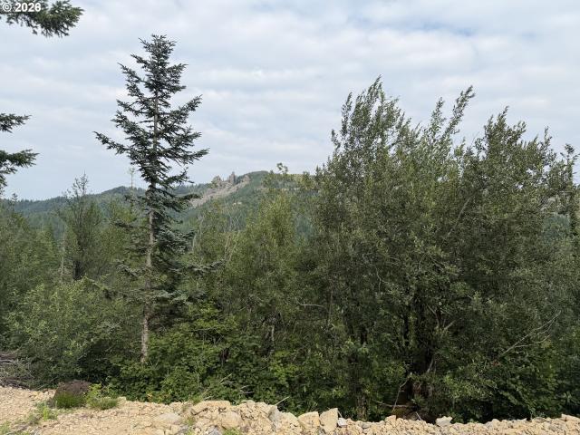 Land for sale in Washougal, Washington
