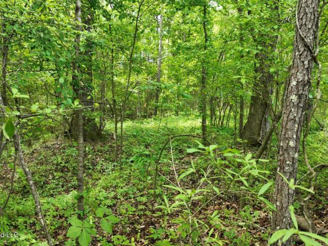 Land for sale in Raymond, Mississippi